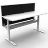 Sit Stand Desk - 1 Person with Dividers