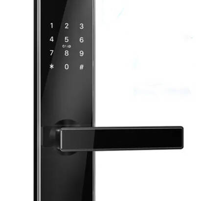 Smart Lock - H51B