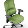 Office Chair - Serie C - Green Top